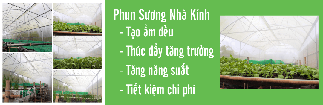 lắp phun sương tạo ẩm trong nhà kính _ 01